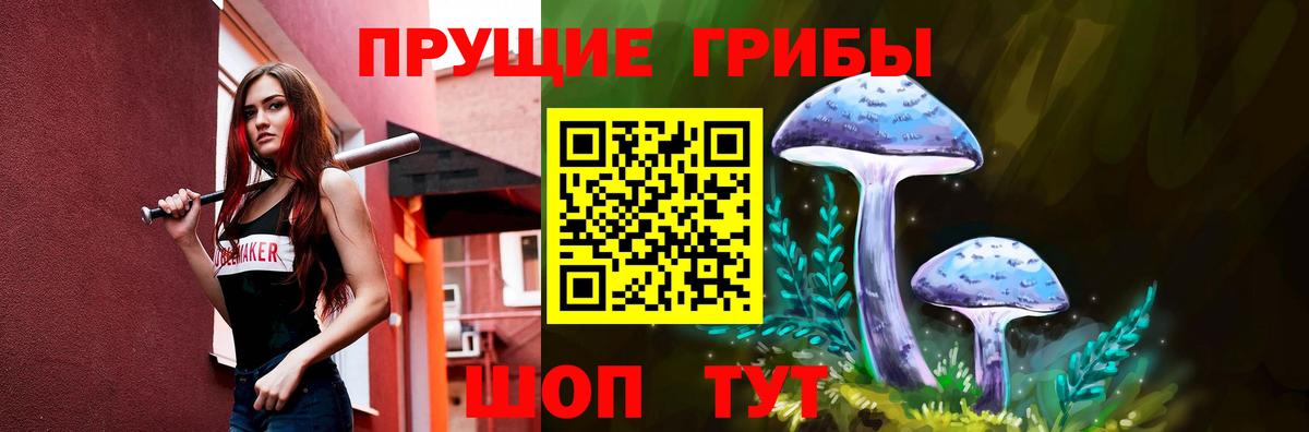 Псилоцибиновые грибы Psilocybine cubensis Верхняя Салда