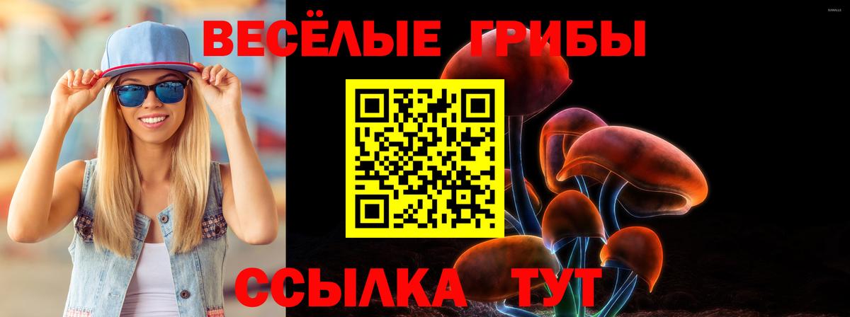 Верхняя Салда  Псилоцибиновые грибы мицелий  купить  сайты  Вход с VPN 